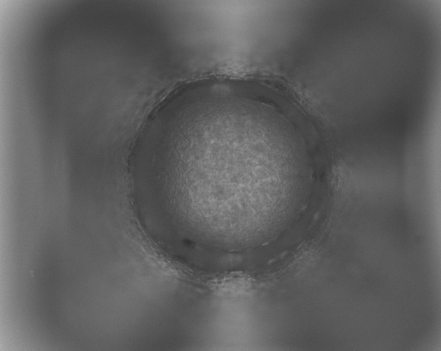 X0000052151201200507051942.png