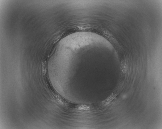 X0000054350471200508190133.png