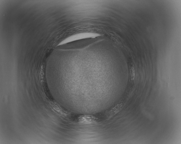 X0000055210372200508301328.png