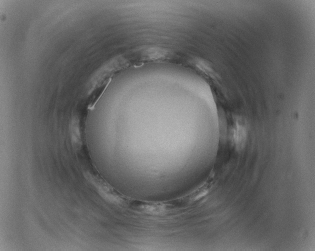 X0000054650524200508091645.png