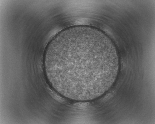 X0000053460930200508112153.png