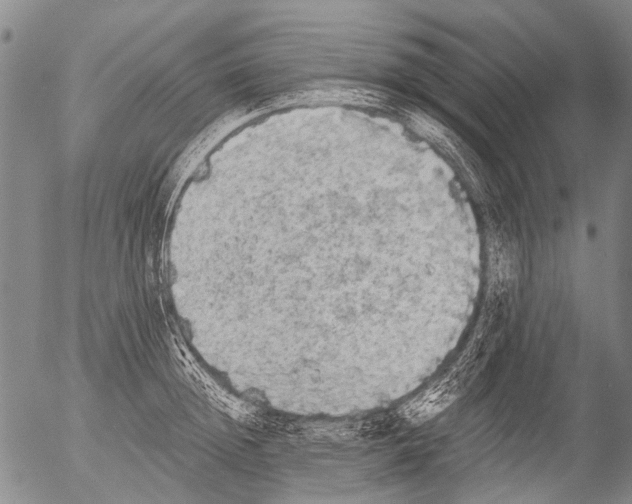 X0000054580852200508300059.png