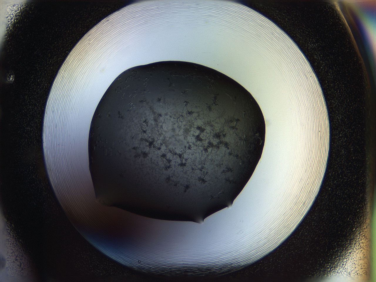 05fm_F5_ImagerDefaults_6.jpg