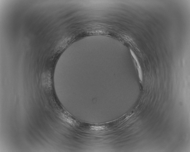 X0000054350457200508190132.png