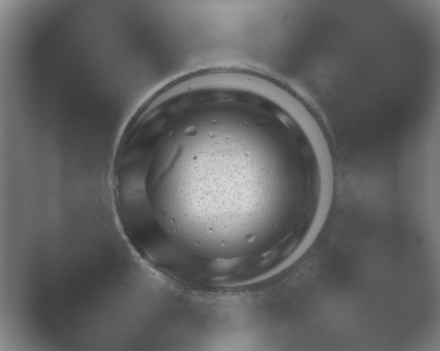 X0000054110951200508022055.png