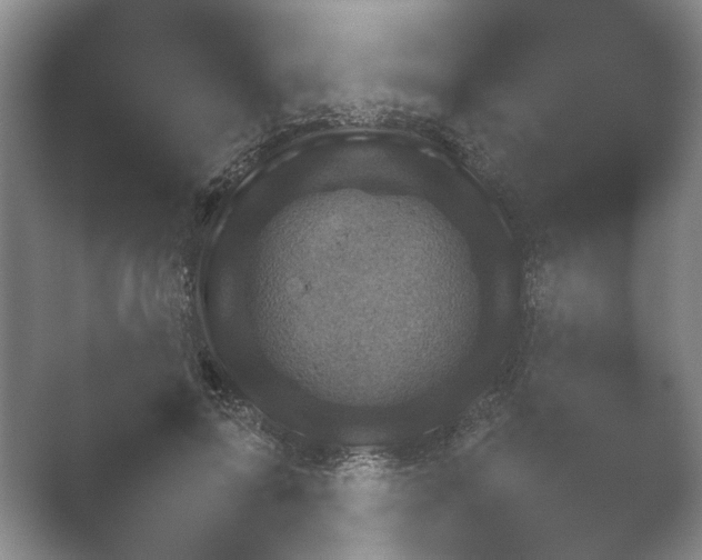 X0000052150599200507051953.png