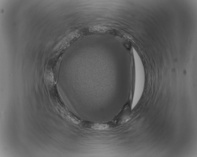 X0000054170617200508101801.png