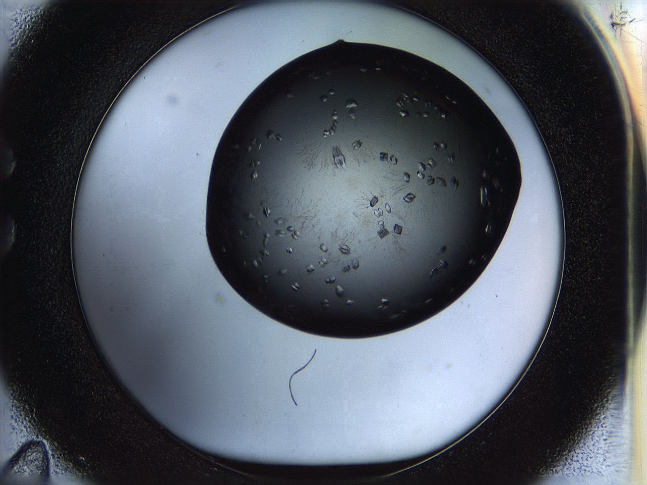05fm_C11_ImagerDefaults_8.jpg