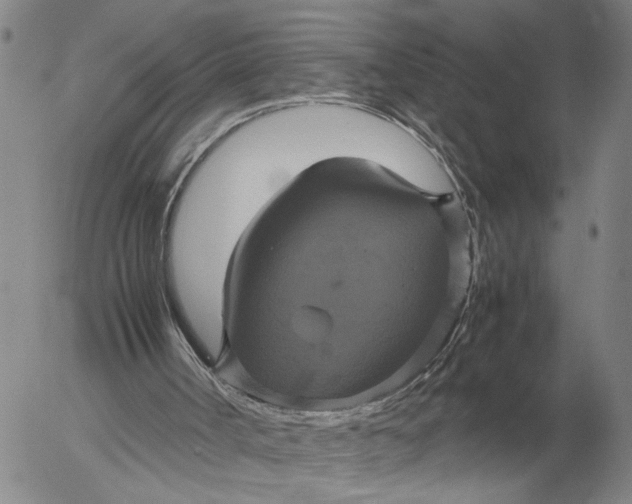 X0000054170002200508101812.png