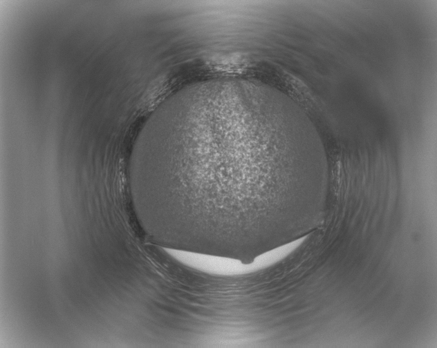 X0000054300707200508042310.png