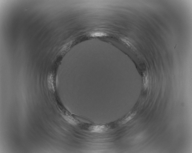 X0000054350575200508190131.png