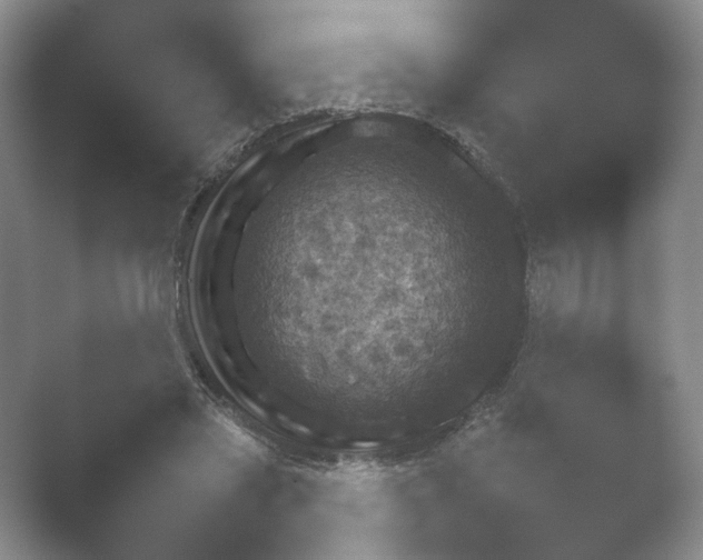 X0000052150445200507051955.png