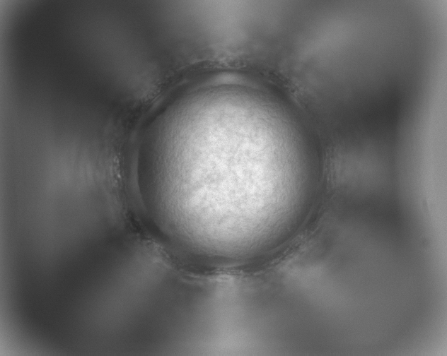 X0000052450236200507211322.png