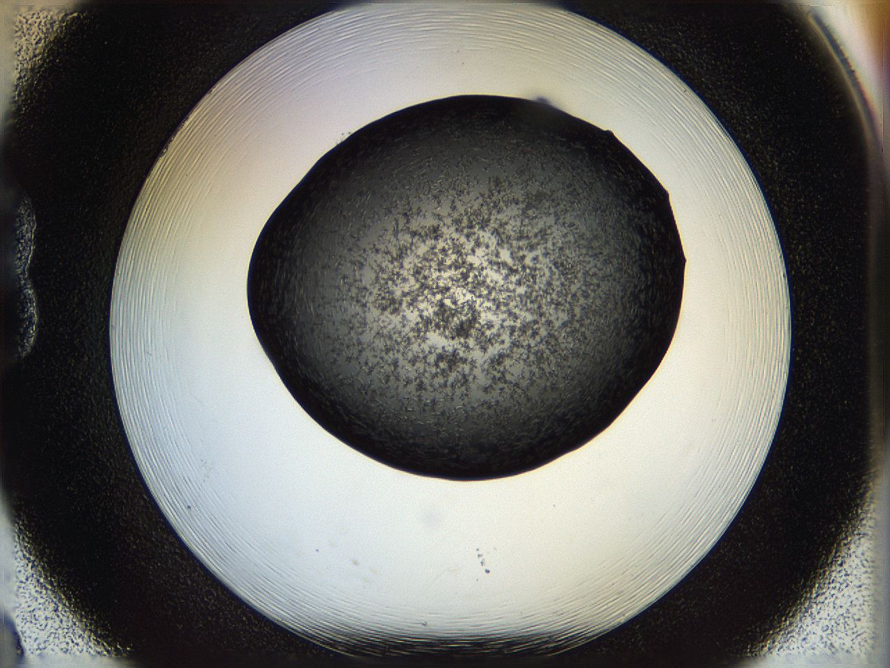 05fn_B8_ImagerDefaults_6.jpg