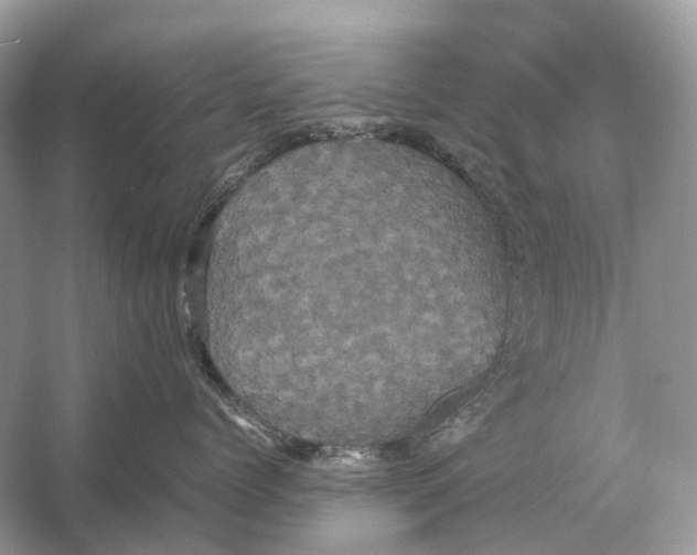 X0000054350768200508190128.png