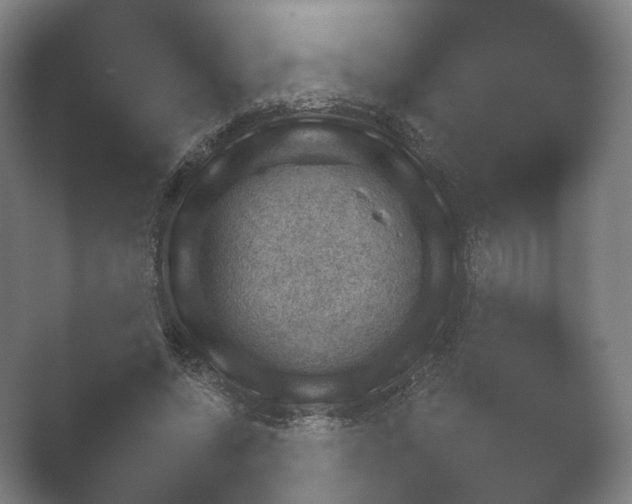 X0000052280543200507132031.png