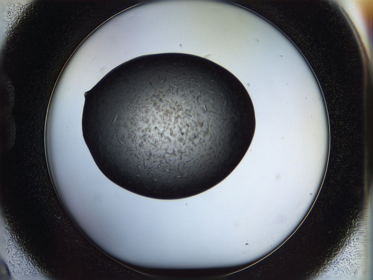 05fn_B9_ImagerDefaults_6.jpg