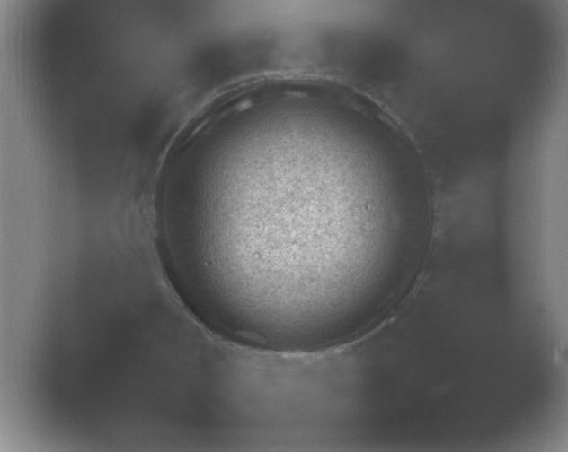 X0000054110002200508022111.png