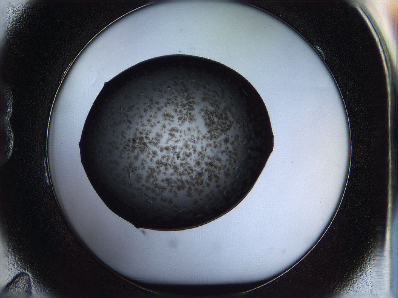 05fn_B11_ImagerDefaults_6.jpg