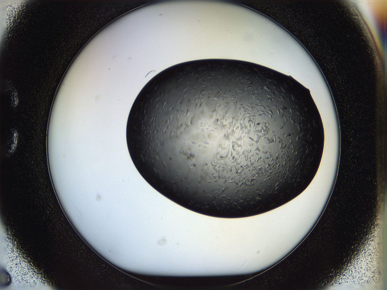 05fn_C6_ImagerDefaults_6.jpg