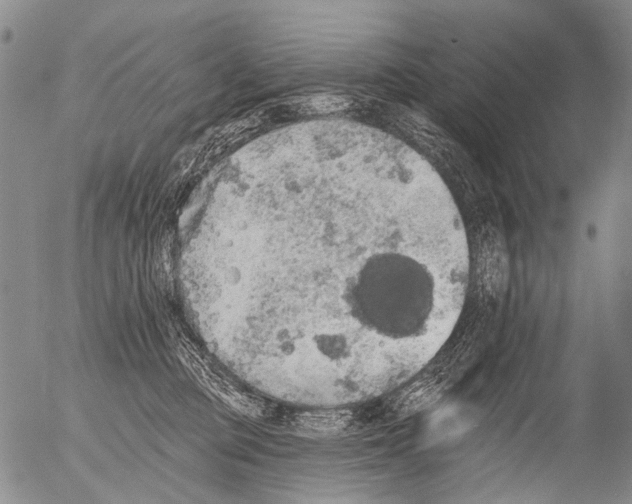 X0000054580373200508300107.png