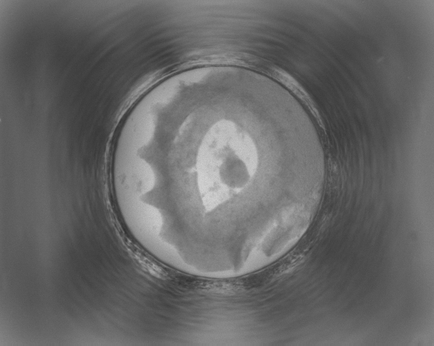 X0000055251002200509071610.png