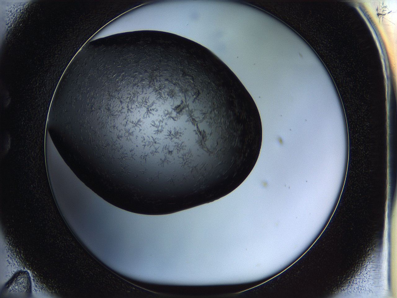 05fn_C11_ImagerDefaults_6.jpg