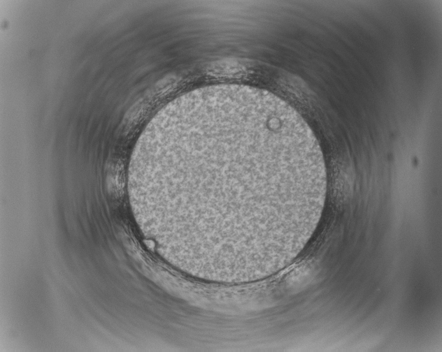 X0000054580040200508300112.png