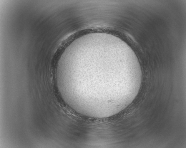 X0000054271016200508261910.png
