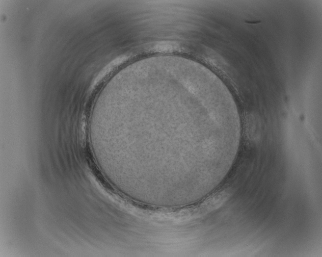 X0000054170016200508101811.png