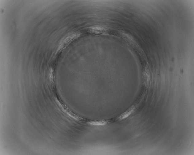 X0000054170765200508101759.png
