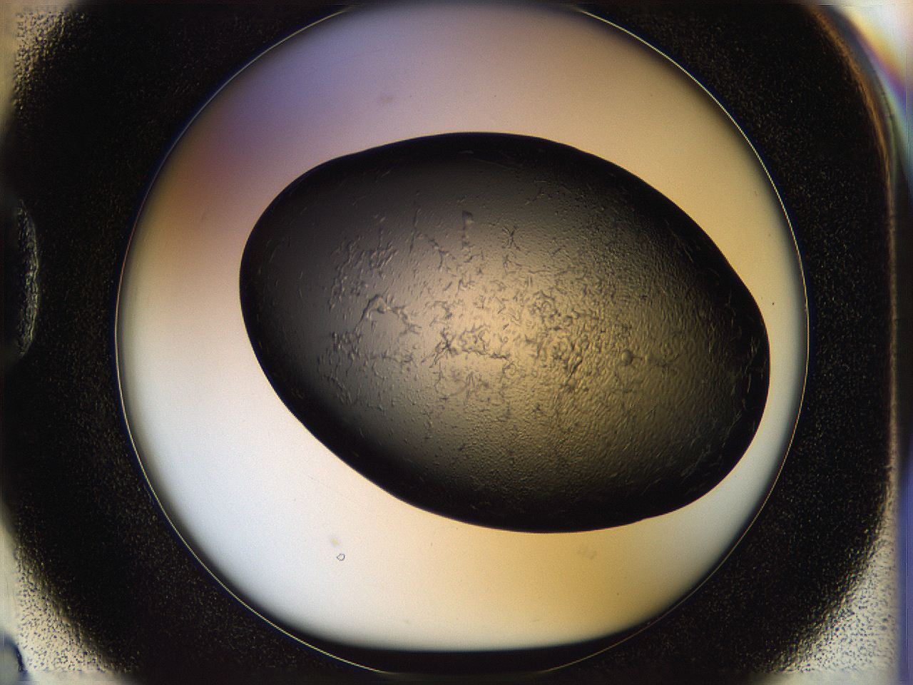 05fn_D2_ImagerDefaults_6.jpg