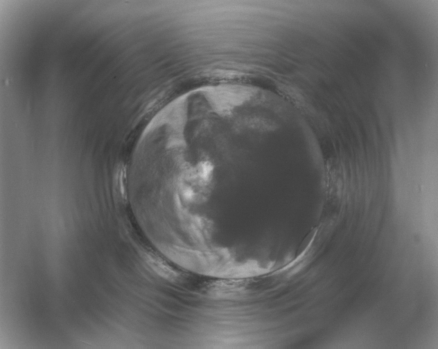 X0000054350094200508190139.png