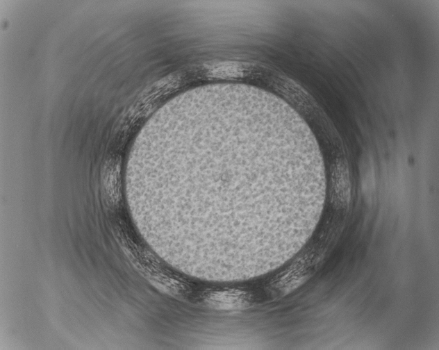 X0000054580364200508300107.png