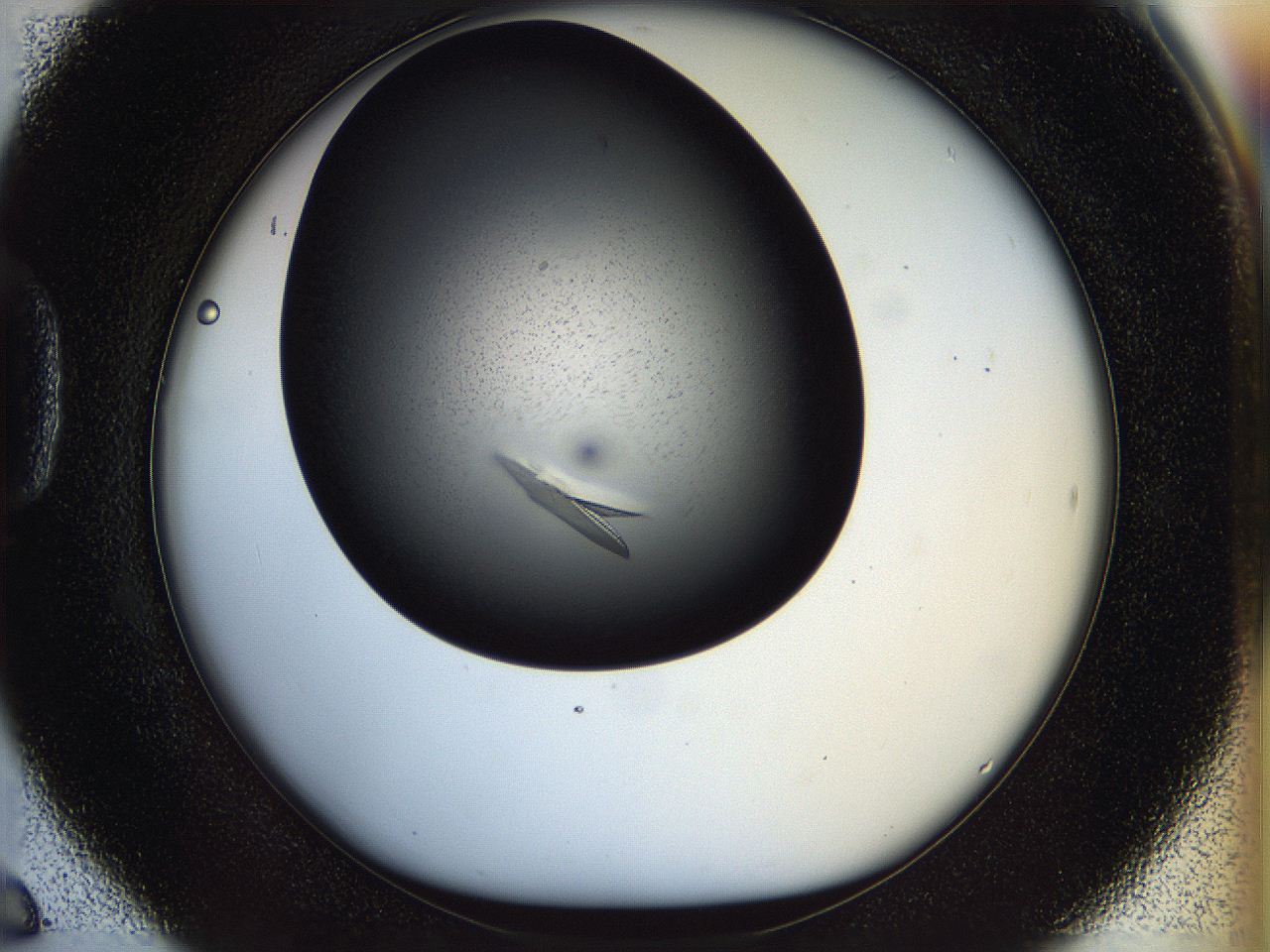 05fn_D6_ImagerDefaults_9.jpg