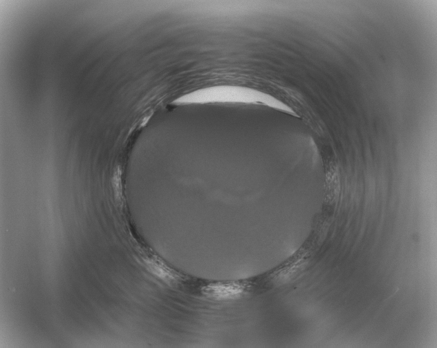 X0000054350765200508190128.png