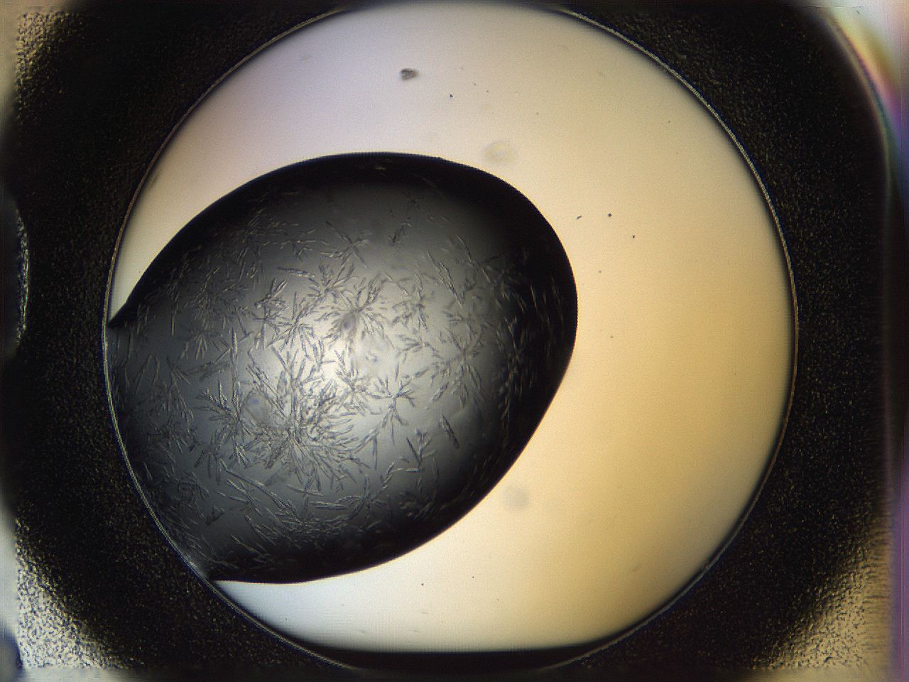 05fn_D8_ImagerDefaults_6.jpg