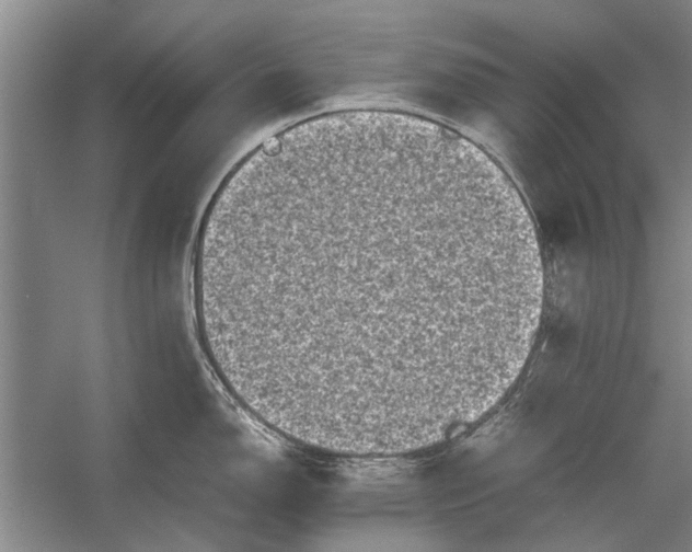 X0000055061150200508161639.png