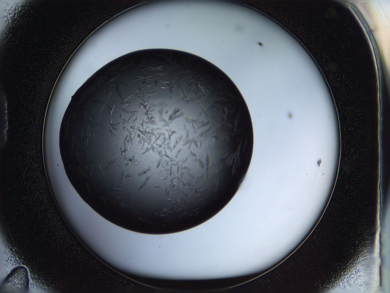 05fn_D11_ImagerDefaults_6.jpg