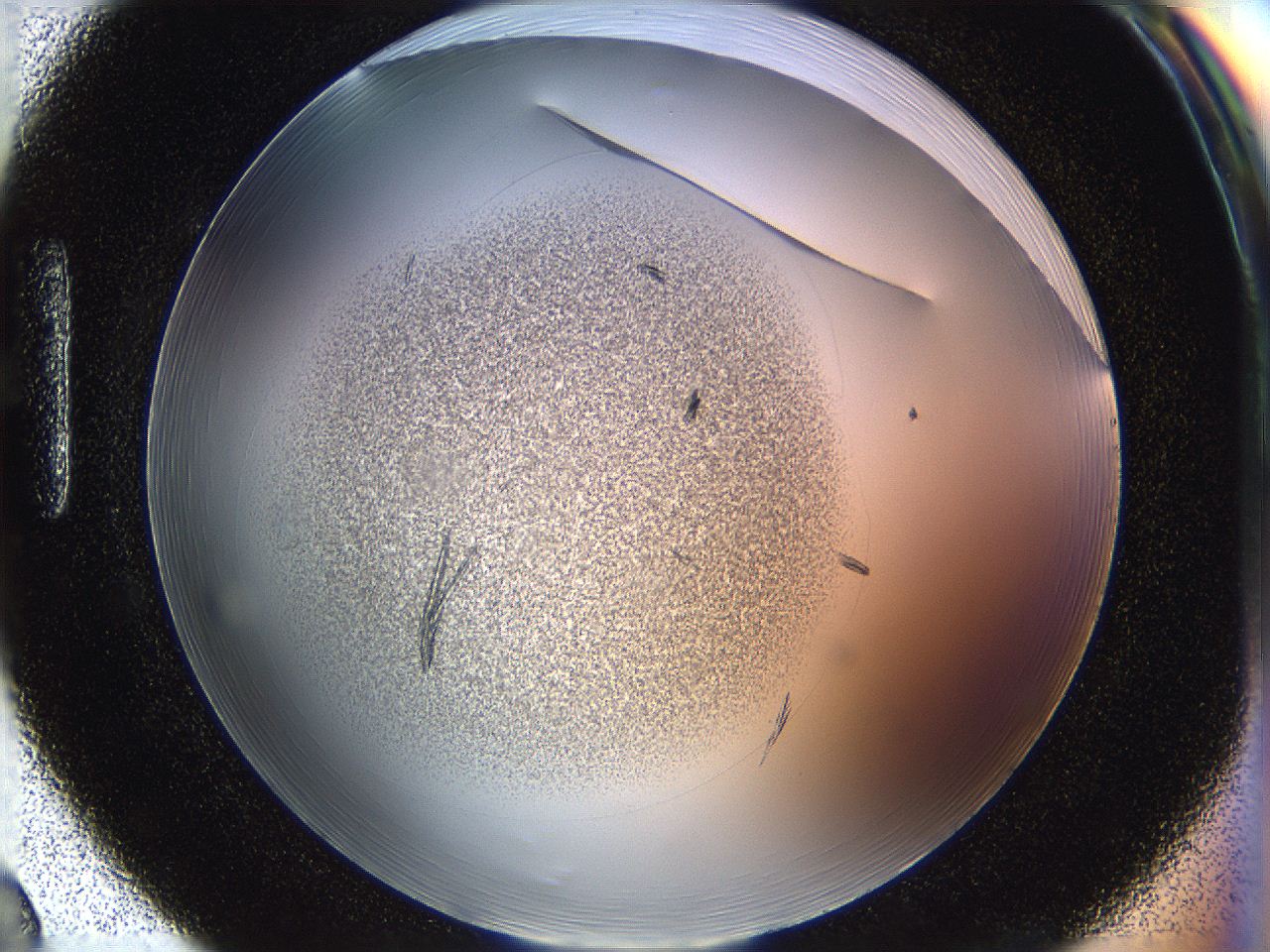 05fn_H2_ImagerDefaults_8.jpg