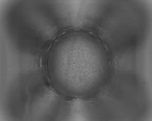 X0000052280075200507132039.png