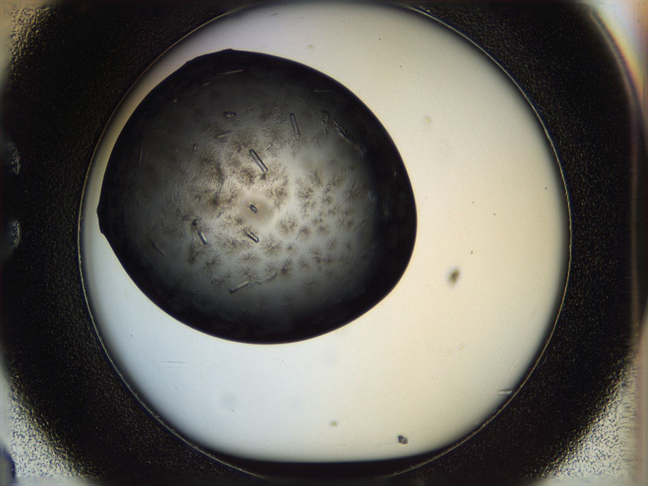 05fn_C8_ImagerDefaults_8.jpg