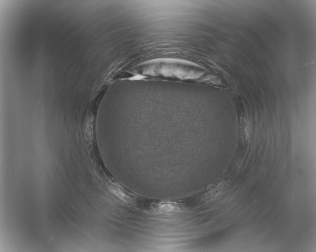 X0000054300475200508042315.png