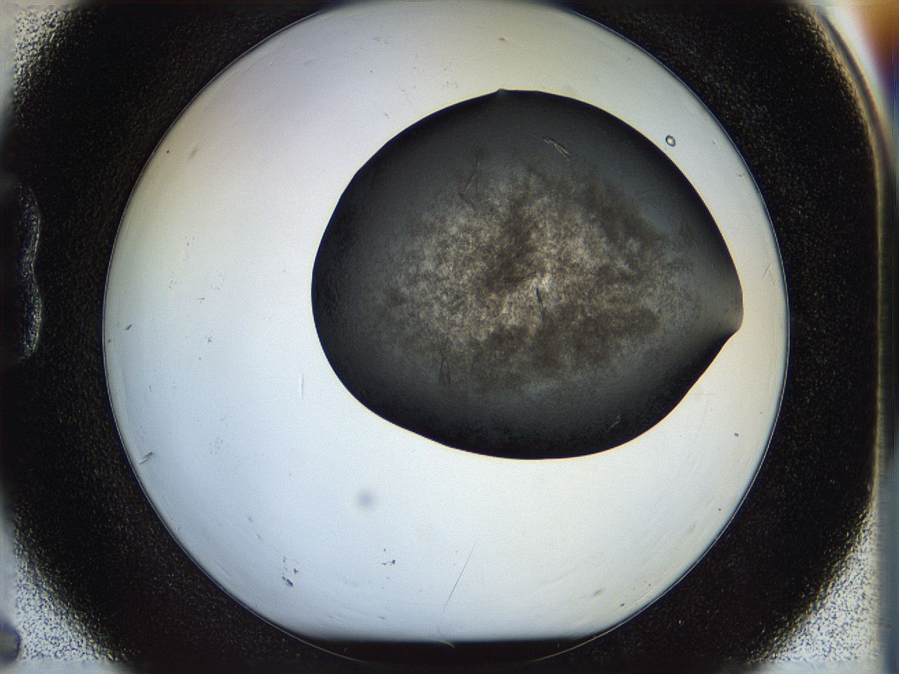 05fn_B6_ImagerDefaults_7.jpg