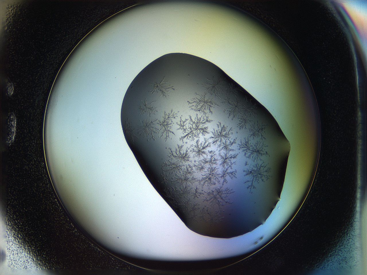 05fn_G5_ImagerDefaults_6.jpg