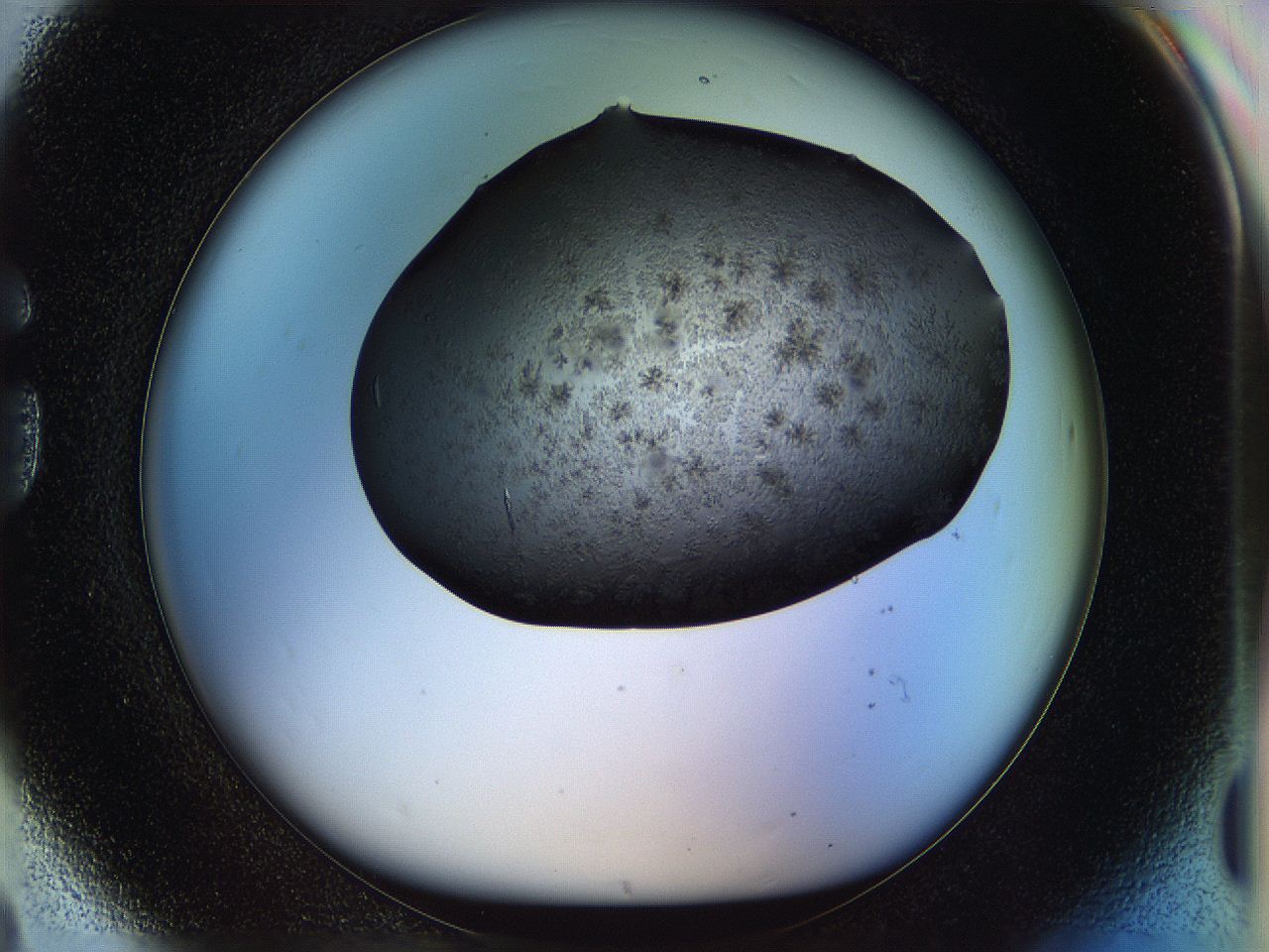 05fn_G8_ImagerDefaults_6.jpg