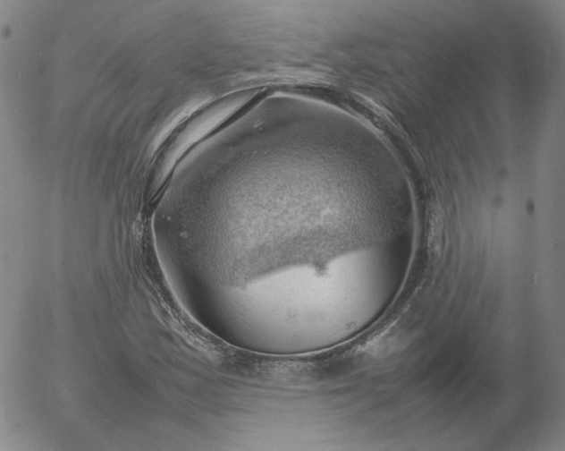 X0000054651163200508091634.png