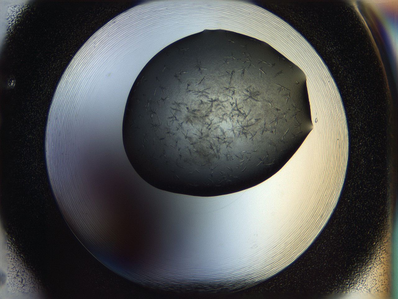 05fn_F5_ImagerDefaults_7.jpg