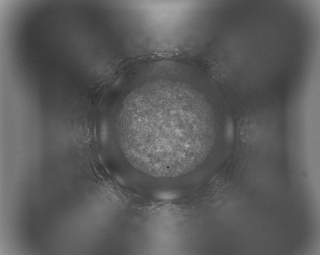 X0000052281298200507132018.png