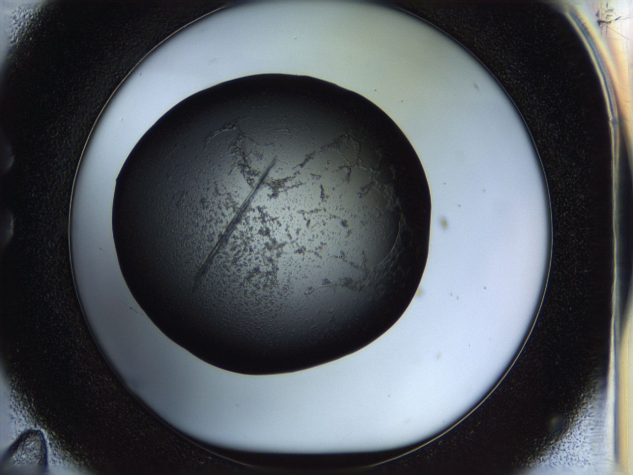 05fo_C11_ImagerDefaults_8.jpg